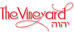 The Vineyard JC